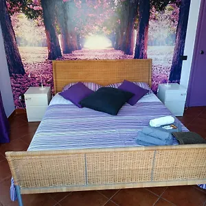 Claudia A Monteverde Bed & Breakfast